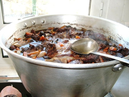 DAUBE (9)